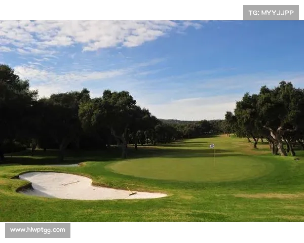 高尔夫精粹之道:从基础技巧到竞技心理全方位解读与实战策略 高尔夫精粹之道:从基础技巧到竞技心理全方位解读与实战策略